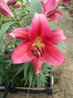 [5568 PO71 Redford No02.JPG]